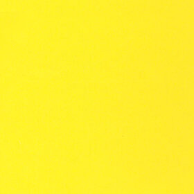 1010