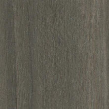 3905